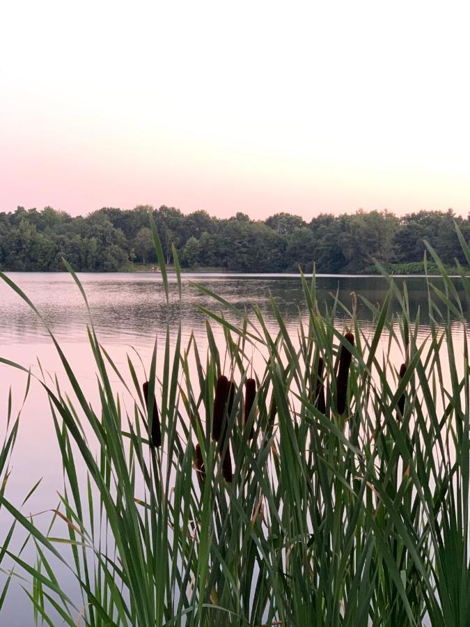 Ferienhaus Seeblick Am Harkebruegger See Mit Sauna Und Kamin Barssel  Exterior foto